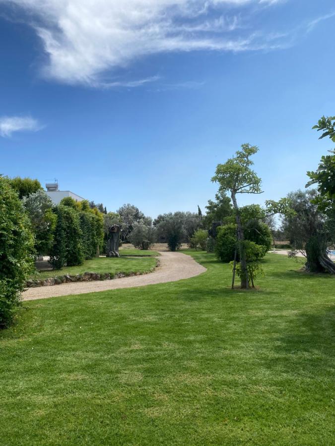 Casa Anna, Agriturismo Alla Castellana ガリポリ エクステリア 写真