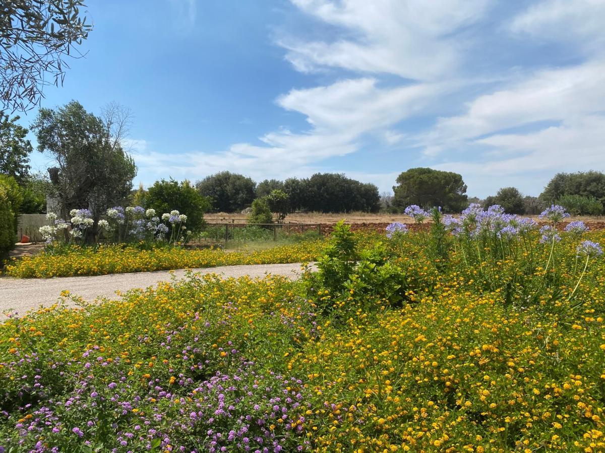 Casa Anna, Agriturismo Alla Castellana ガリポリ エクステリア 写真