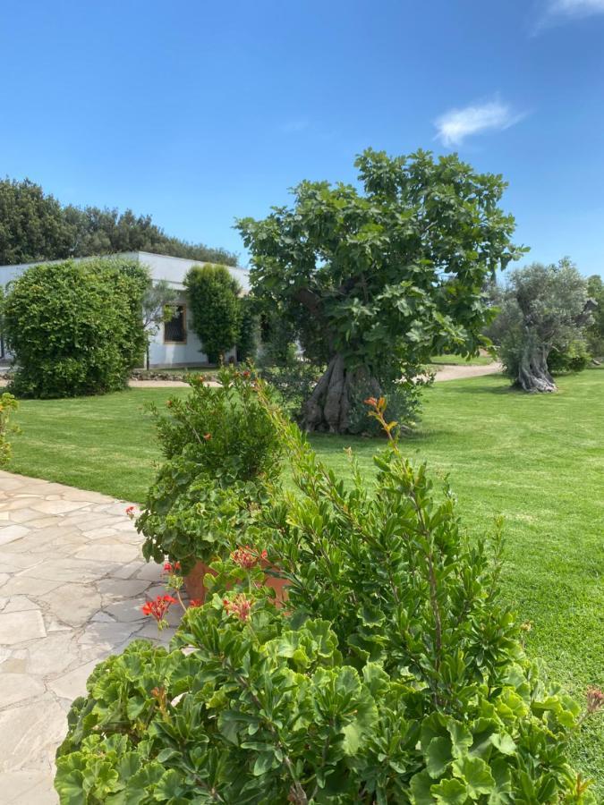 Casa Anna, Agriturismo Alla Castellana ガリポリ エクステリア 写真