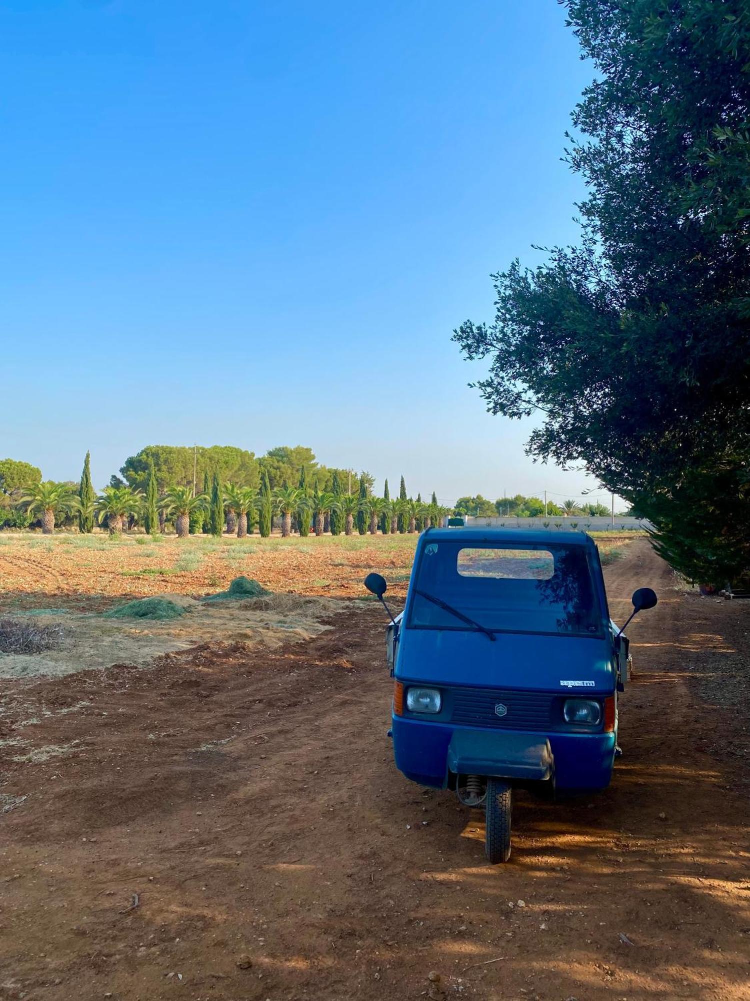 Casa Anna, Agriturismo Alla Castellana ガリポリ エクステリア 写真