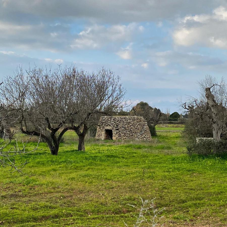Casa Anna, Agriturismo Alla Castellana ガリポリ エクステリア 写真