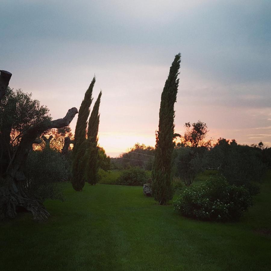 Casa Anna, Agriturismo Alla Castellana ガリポリ エクステリア 写真